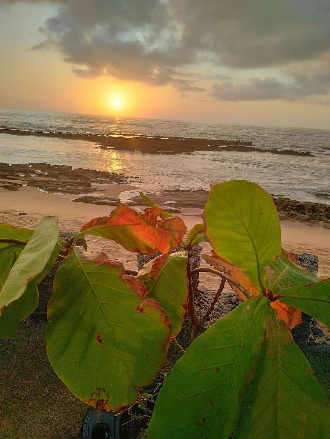 Pousada Tropicalia Tranquilidade A Beira Mar Santa Cruz Cabrália Eksteriør billede