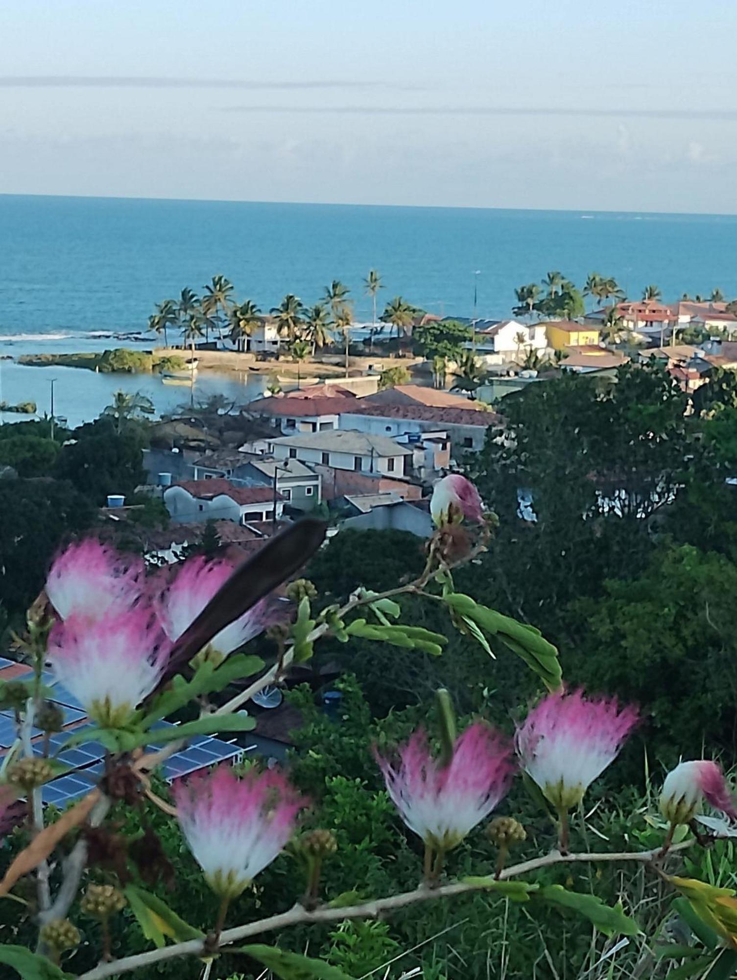 Pousada Tropicalia Tranquilidade A Beira Mar Santa Cruz Cabrália Eksteriør billede